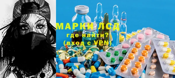 прущие грибы Зеленокумск