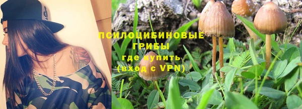 сатива Зерноград