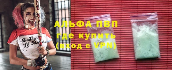 прущие грибы Зеленокумск
