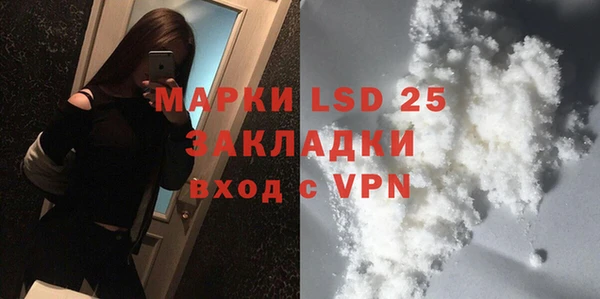 прущие грибы Зеленокумск