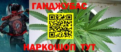 ПСИЛОЦИБИНОВЫЕ ГРИБЫ Краснодар