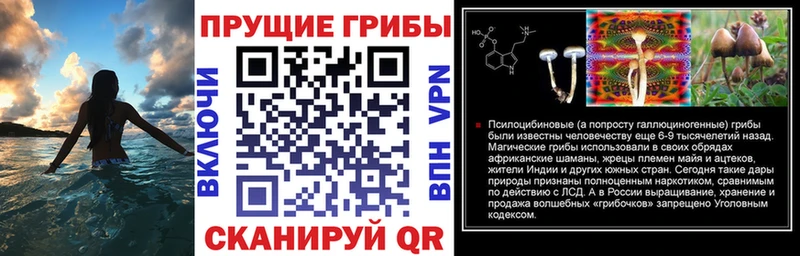 купить сайты Протвино блэк спрут маркетплейс Псилоцибиновые грибы GOLDEN TEACHER