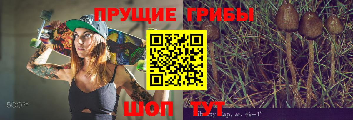 Галлюциногенные грибы Cubensis Протвино