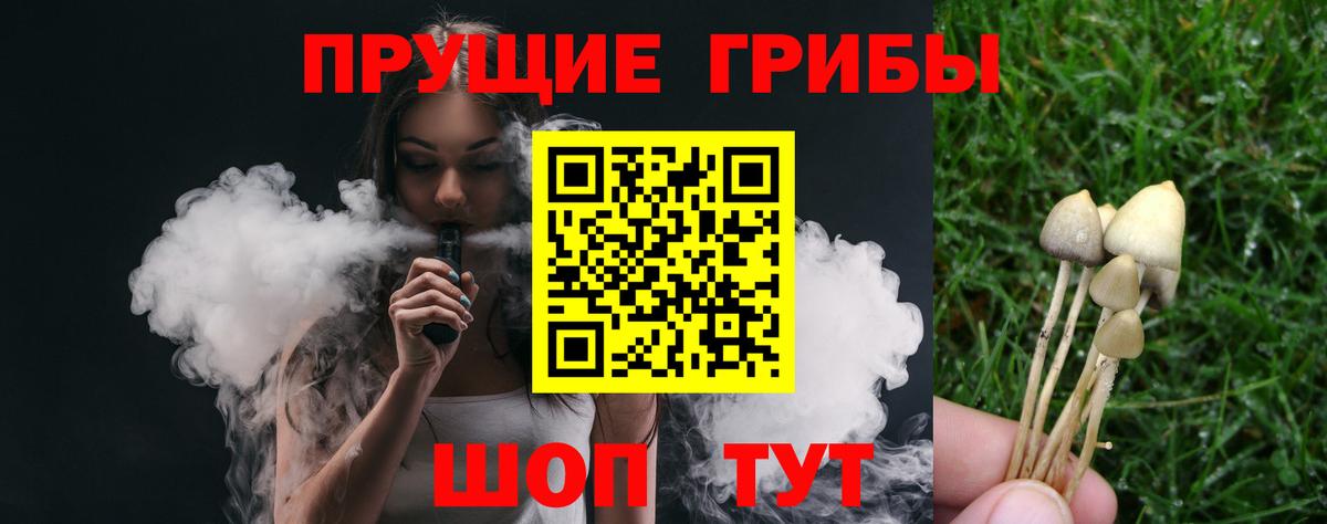 Протвино  Галлюциногенные грибы Psilocybine cubensis  купить   Вход с VPN 