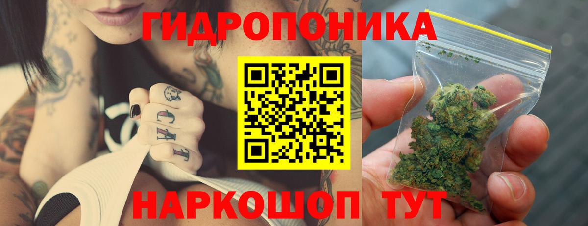 Бошки марихуана White Widow  Каннабис ГИДРОПОН  Протвино  Вход с VPN 
